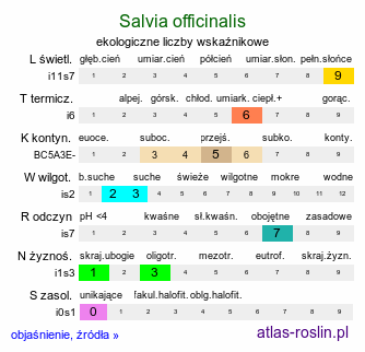 ekologiczne liczby wskaźnikowe Salvia officinalis (szałwia lekarska)