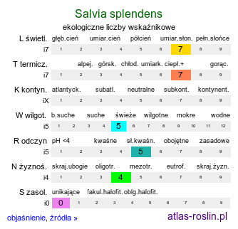 ekologiczne liczby wskaźnikowe Salvia splendens (szałwia błyszcząca)