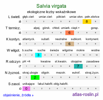 ekologiczne liczby wskaźnikowe Salvia virgata (szałwia rózgowata)