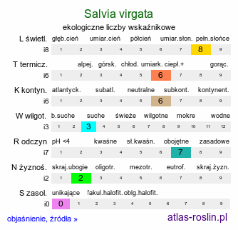 ekologiczne liczby wskaźnikowe Salvia virgata (szałwia rózgowata)