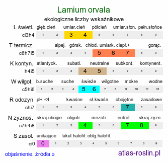 ekologiczne liczby wskaźnikowe Lamium orvala (jasnota wielkokwiatowa)