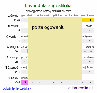 ekologiczne liczby wskaźnikowe Lavandula angustifolia (lawenda wąskolistna)