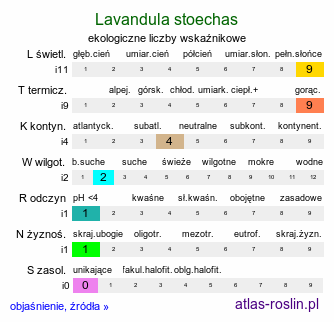 ekologiczne liczby wskaźnikowe Lavandula stoechas (lawenda francuska)