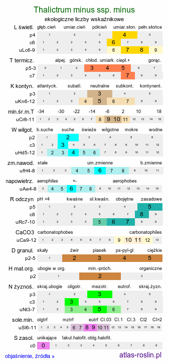 ekologiczne liczby wskaźnikowe Thalictrum minus ssp. minus (rutewka mniejsza typowa)