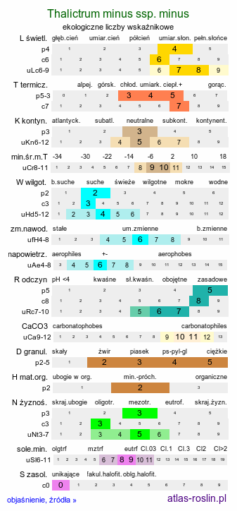 ekologiczne liczby wskaźnikowe Thalictrum minus ssp. minus (rutewka mniejsza typowa)