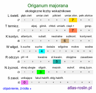 ekologiczne liczby wskaźnikowe Origanum majorana (lebiodka majeranek)