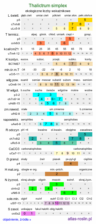 ekologiczne liczby wskaźnikowe Thalictrum simplex (rutewka pojedyncza)
