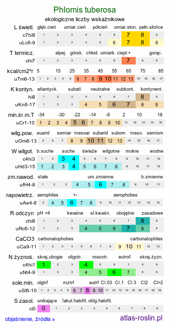 ekologiczne liczby wskaźnikowe Phlomis tuberosa (żeleźniak bulwiasty)
