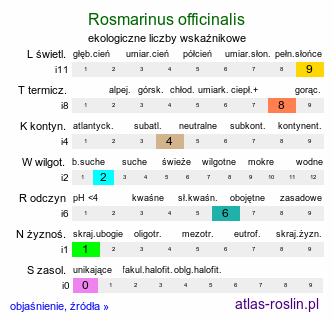 ekologiczne liczby wskaźnikowe Rosmarinus officinalis (rozmaryn lekarski)