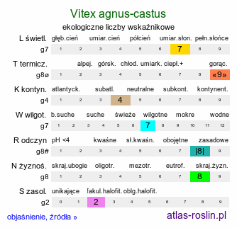 ekologiczne liczby wskaźnikowe Vitex agnus-castus (niepokalanek pospolity)