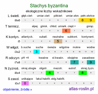 ekologiczne liczby wskaźnikowe Stachys byzantina (czyściec wełnisty)