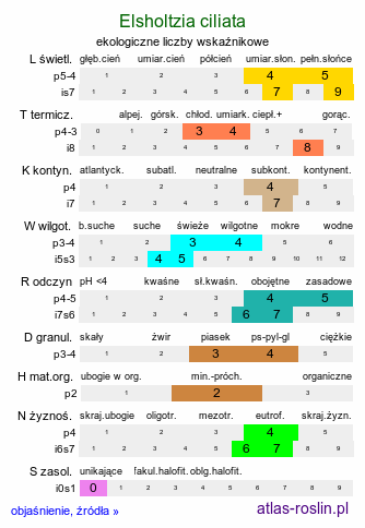 ekologiczne liczby wskaźnikowe Elsholtzia ciliata (marzymięta grzebieniasta)