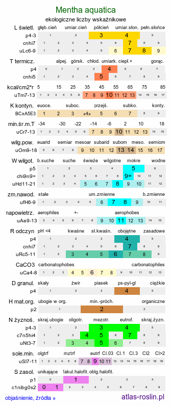 ekologiczne liczby wskaźnikowe Mentha aquatica (mięta nadwodna)