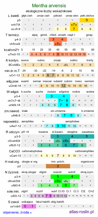 ekologiczne liczby wskaźnikowe Mentha arvensis (mięta polna)