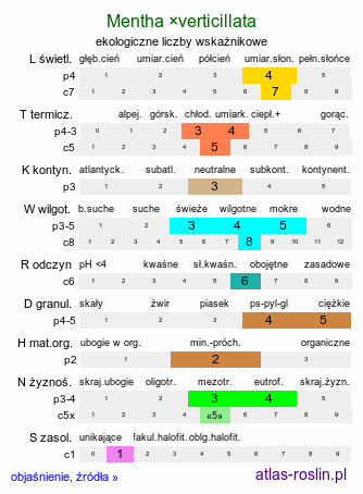 ekologiczne liczby wskaźnikowe Mentha ×verticillata (mięta okręgowa)