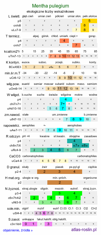 ekologiczne liczby wskaźnikowe Mentha pulegium (mięta polej)