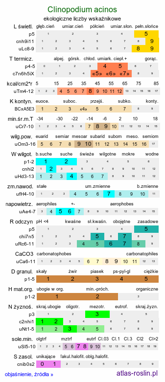 ekologiczne liczby wskaźnikowe Clinopodium acinos (czyścica drobnokwiatowa)