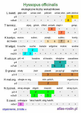 ekologiczne liczby wskaźnikowe Hyssopus officinalis (hyzop lekarski)