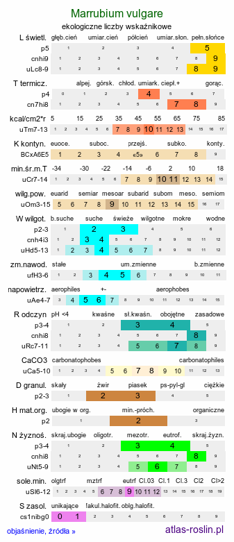 ekologiczne liczby wskaźnikowe Marrubium vulgare (szanta zwyczajna)