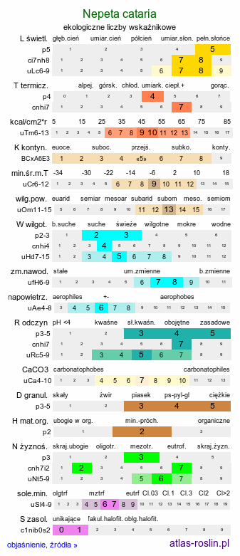 ekologiczne liczby wskaźnikowe Nepeta cataria (kocimiętka właściwa)