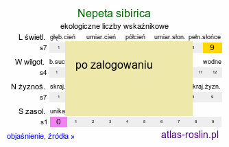 ekologiczne liczby wskaźnikowe Nepeta sibirica (kocimiętka syberyjska)