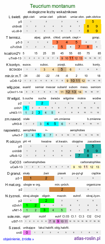 ekologiczne liczby wskaźnikowe Teucrium montanum (ożanki górskiej)