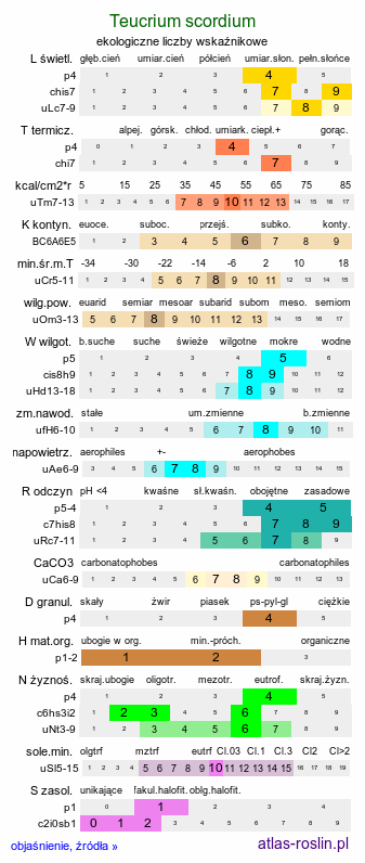 ekologiczne liczby wskaźnikowe Teucrium scordium (ożanka czosnkowa)