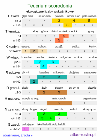 ekologiczne liczby wskaźnikowe Teucrium scorodonia (ożanka nierównoząbkowa)