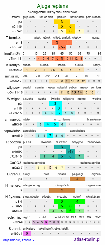 ekologiczne liczby wskaźnikowe Ajuga reptans (dąbrówka rozłogowa)