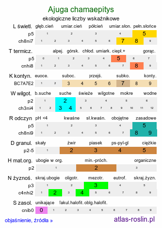 ekologiczne liczby wskaźnikowe Ajuga chamaepitys (dąbrówka żółtokwiatowa)