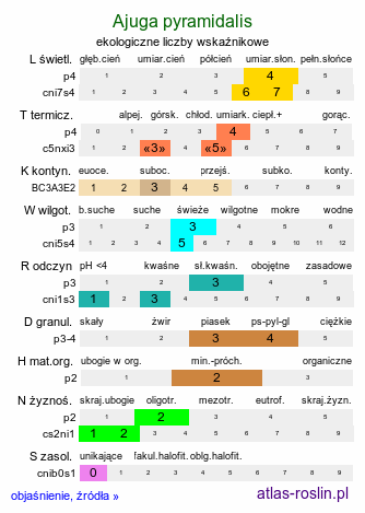 ekologiczne liczby wskaźnikowe Ajuga pyramidalis (dąbrówka piramidalna)