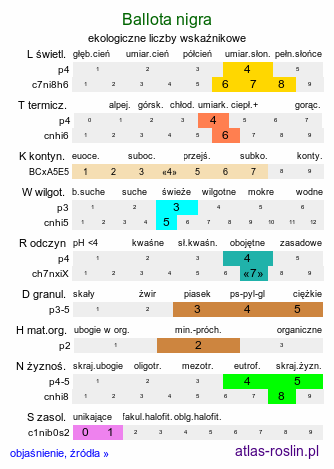 ekologiczne liczby wskaźnikowe Ballota nigra (mierznica czarna)