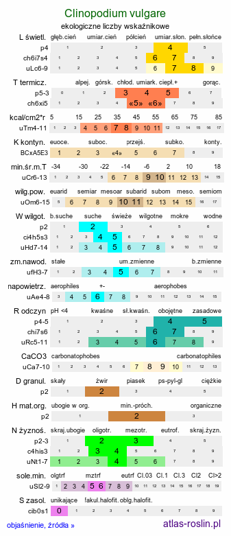 ekologiczne liczby wskaźnikowe Clinopodium vulgare (klinopodium pospolite)