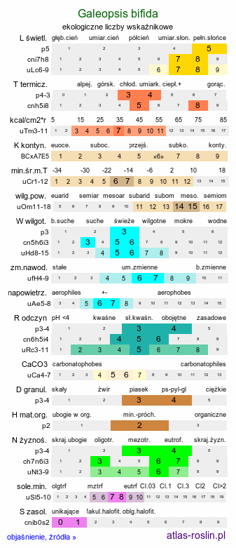 ekologiczne liczby wskaźnikowe Galeopsis bifida (poziewnik dwudzielny)