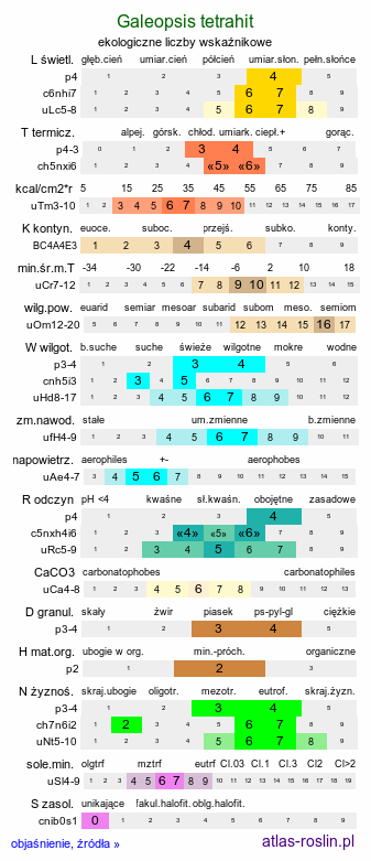 ekologiczne liczby wskaźnikowe Galeopsis tetrahit (poziewnik szorstki)