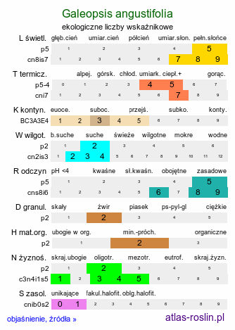 ekologiczne liczby wskaźnikowe Galeopsis angustifolia (poziewnik wąskolistny)