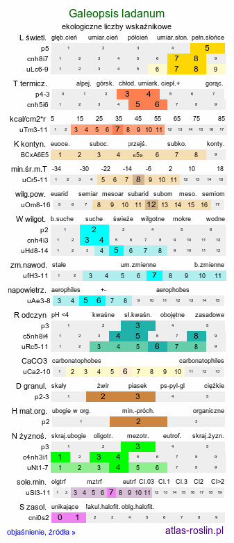 ekologiczne liczby wskaźnikowe Galeopsis ladanum (poziewnik polny)