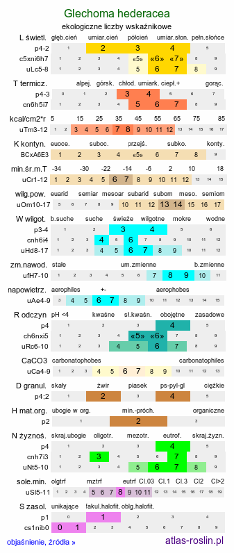 ekologiczne liczby wskaźnikowe Glechoma hederacea (bluszczyk kurdybanek)