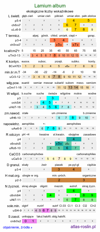 ekologiczne liczby wskaźnikowe Lamium album (jasnota biała)