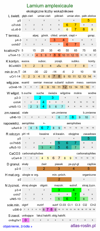 ekologiczne liczby wskaźnikowe Lamium amplexicaule (jasnota różowa)