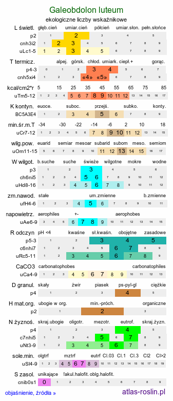 ekologiczne liczby wskaźnikowe Galeobdolon luteum (gajowiec żółty)