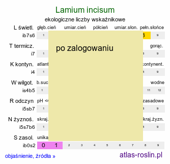 ekologiczne liczby wskaźnikowe Lamium incisum (jasnota mieszańcowa)