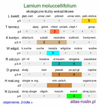 ekologiczne liczby wskaźnikowe Lamium moluccellifolium (jasnota pośrednia)