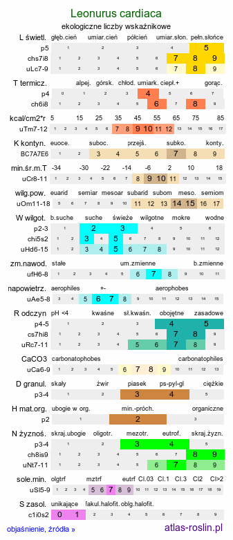 ekologiczne liczby wskaźnikowe Leonurus cardiaca (serdecznik pospolity)