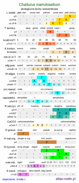 ekologiczne liczby wskaźnikowe Chaiturus marrubiastrum (szczeciogon szantowaty)