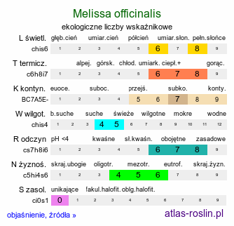 ekologiczne liczby wskaźnikowe Melissa officinalis (melisa lekarska)