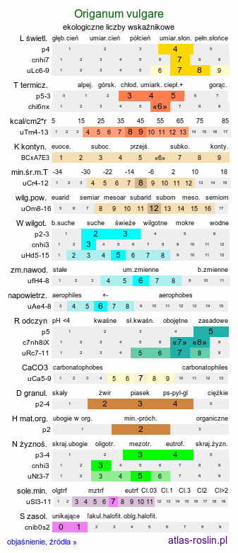 ekologiczne liczby wskaźnikowe Origanum vulgare (lebiodka pospolita)