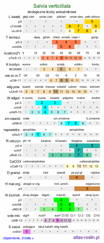 ekologiczne liczby wskaźnikowe Salvia verticillata (szałwia okręgowa)