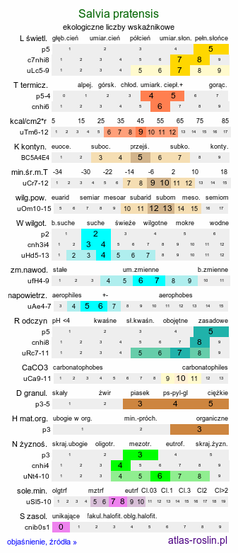 ekologiczne liczby wskaźnikowe Salvia pratensis (szałwia łąkowa)