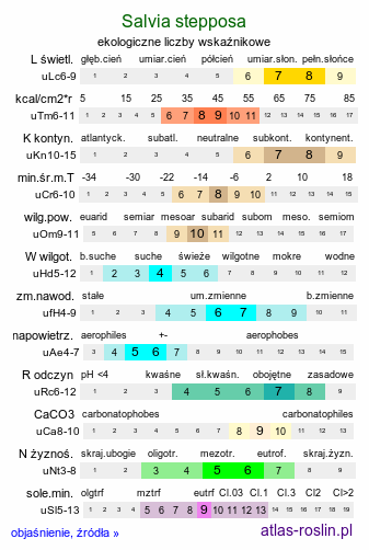 ekologiczne liczby wskaźnikowe Salvia stepposa (szałwia zaroślowa)